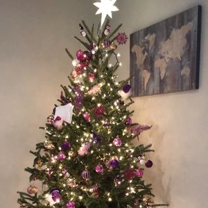 Meet your Posher, Cintia